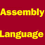 Professional Assembly Language