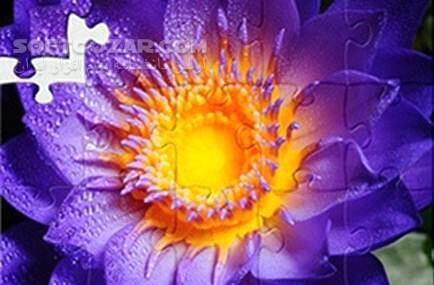 دانلود 1001Jigsaw - Earth Chronicles 4 - دانلود بازی هزار و یک پازل - تاریخچه‌ی زمین 4 - سافت گذر