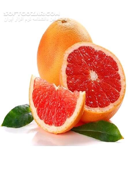 دانلود چربی سوزی و کاهش وزن - دانلود کتاب میوه های چربی سوز - سافت گذر