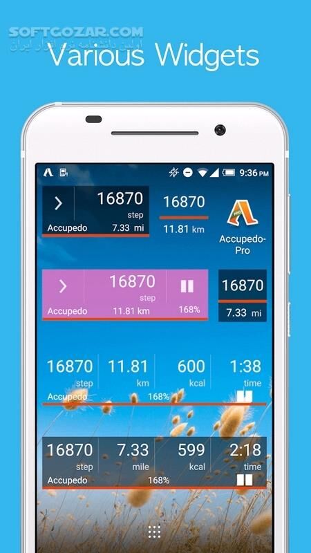 دانلود Accupedo-Pro Pedomete 9.1.0.5.G for Android +4.1 - دانلود گام شمار برای اندروید - سافت گذر