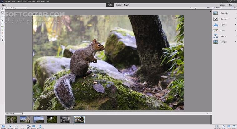 دانلود Adobe Photoshop Elements 2026 26.0 / 2025 25.2 / 2024 24.0 / 2023 / 2022.4  / macOS 2022 - دانلود ادوب فوتوشاپ المنت - سافت گذر