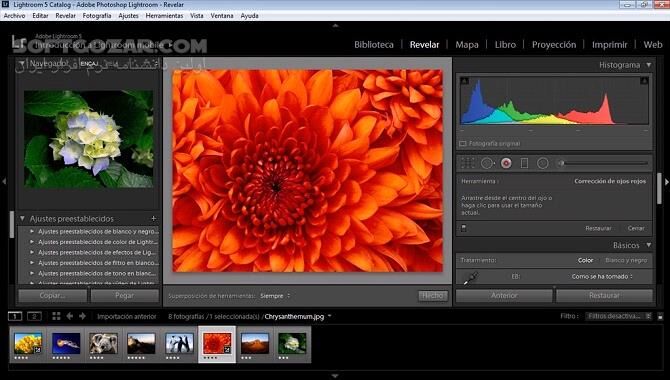 دانلود Adobe Photoshop Lightroom - دانلود فوتوشاپ لایتروم 2019 - سافت گذر