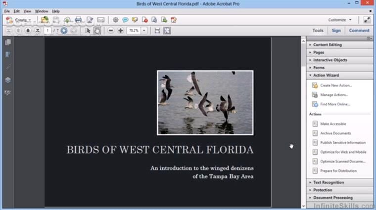 دانلود InfiniteSkills – Advanced Adobe Acrobat XI Training Video - دانلود فیلم آموزش نرم افزار ادوبی آکروبات 11 سطح پیشرفته - سافت گذر