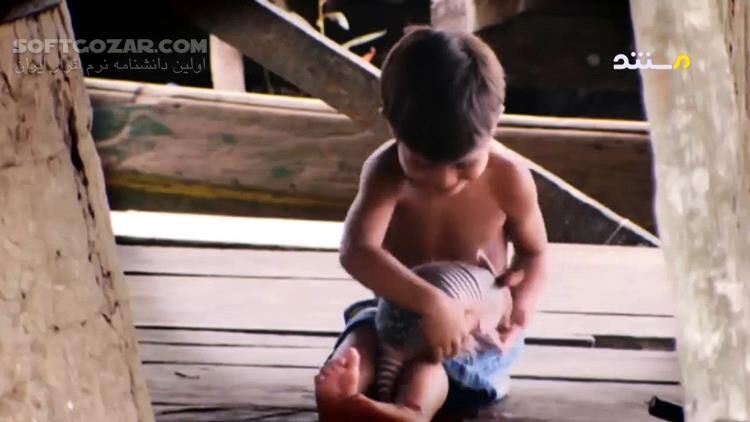 دانلود مستند بومیان آمازون با بروس پری - دانلود مستند بومیان آمازون - سافت گذر