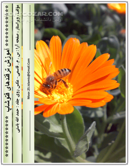 دانلود آموزش ترفندهای فتوشاپ - دانلود کتاب آموزش مصور تکنیک ها و ترفندهای فتوشاپ - سافت گذر