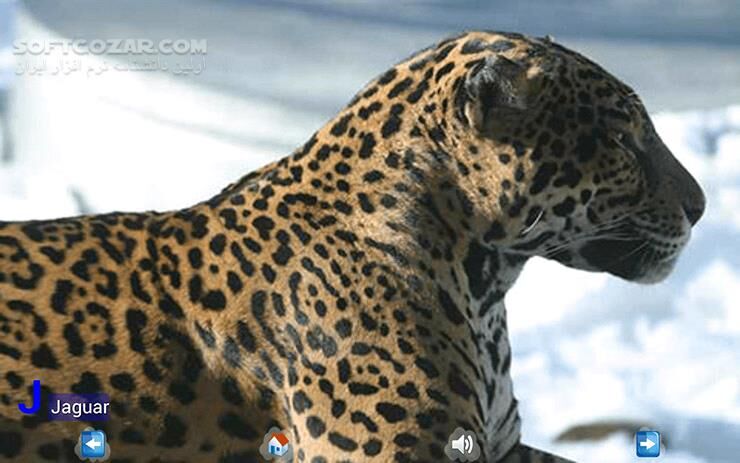 دانلود Animal ABC 3.2 for Android +3.0 - دانلود آموزش حروف انگلیسی برای کودکان (حیوانات) برای اندروید - سافت گذر