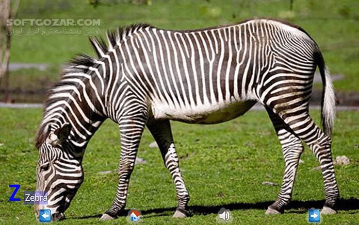 دانلود Animal ABC 3.2 for Android +3.0 - دانلود آموزش حروف انگلیسی برای کودکان (حیوانات) برای اندروید - سافت گذر