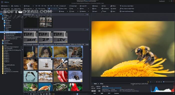 دانلود Ashampoo Photo Commander 19.0.2 - دانلود ویرایش عکس - سافت گذر