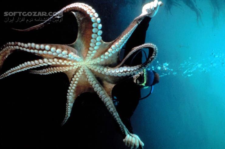 دانلود Atlantis - دانلود مستند آتلانتیس - سافت گذر