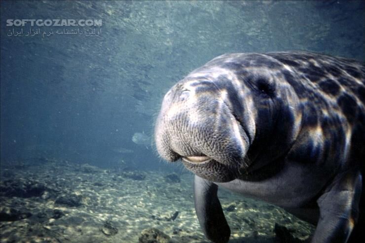 دانلود Atlantis - دانلود مستند آتلانتیس - سافت گذر