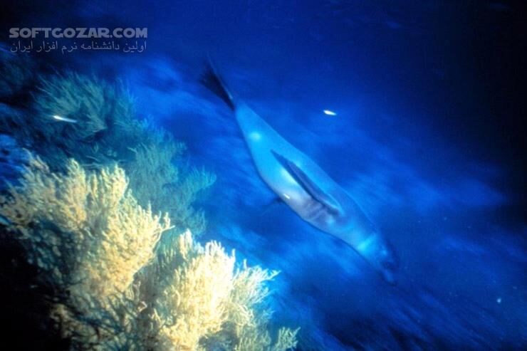 دانلود Atlantis - دانلود مستند آتلانتیس - سافت گذر