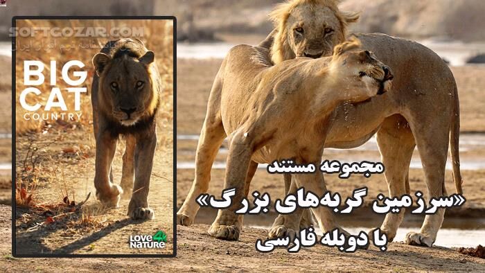 دانلود مجموعه مستند سرزمین گربه‌های بزرگ با دوبله فارسی و کیفیت عالی - دانلود مستند سرزمین گربه های بزرگ - سافت گذر