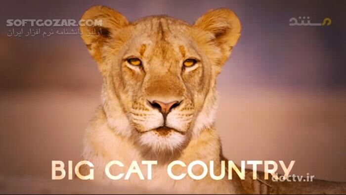 دانلود مجموعه مستند سرزمین گربه‌های بزرگ با دوبله فارسی و کیفیت عالی - دانلود مستند سرزمین گربه های بزرگ - سافت گذر