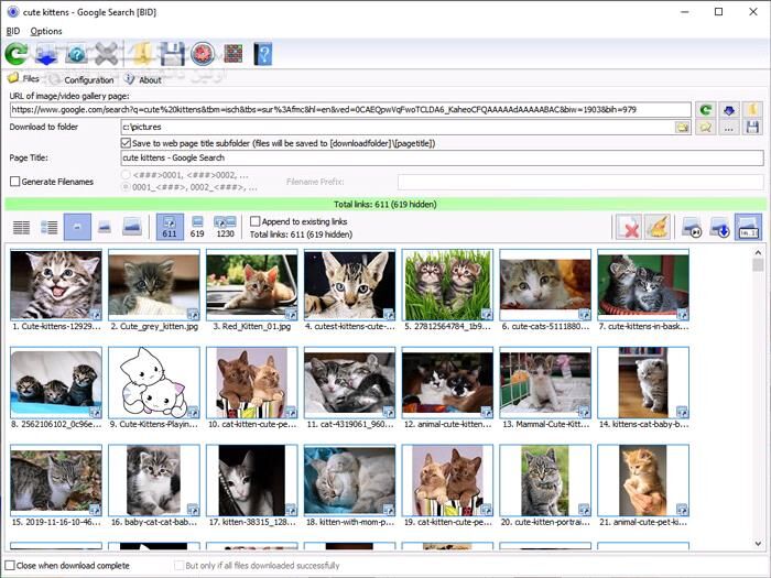 دانلود Bulk Image Downloader 6.58 - دانلود دانلود گالری های عکس از همه سایت ها - سافت گذر