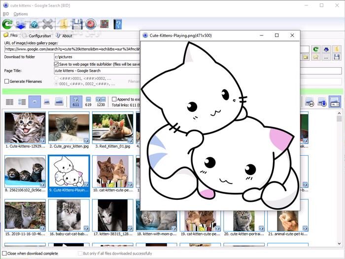 دانلود Bulk Image Downloader 6.58 - دانلود دانلود گالری های عکس از همه سایت ها - سافت گذر