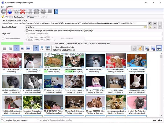 دانلود Bulk Image Downloader 6.58 - دانلود دانلود گالری های عکس از همه سایت ها - سافت گذر