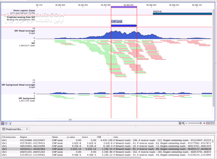 دانلود CLC Genomics Workbench v3.6.5 + portable - دانلود برنامه ای قدرتمند برای تجزیه و تحلیل و تجسم داده ها - سافت گذر