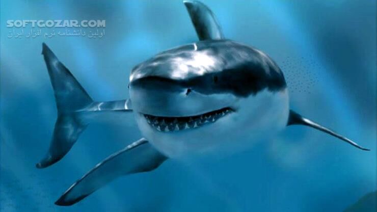 دانلود Deep Blue - دانلود مستند دریاها و اقیانوس ها - سافت گذر