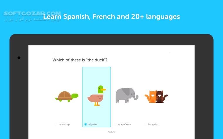 دانلود Duolingo: Learn Languages 6.57.3 for Android +10 - دانلود دولینگو برای اندروید - سافت گذر