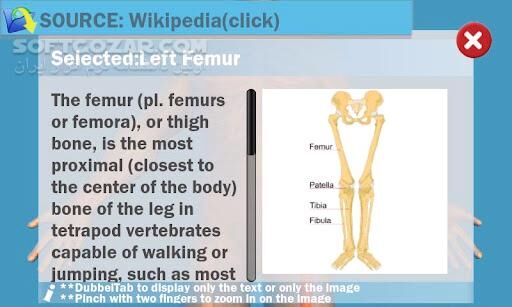 دانلود Easy Anatomy 3D 5.0 for Android - دانلود آناتومی سه بعدی و کامل بدن برای اندروید - سافت گذر