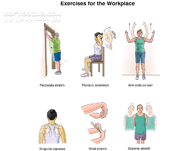 دانلود ورزش در محیط کار - دانلود کتاب کتاب ورزش و سلامتی در محیط کار - سافت گذر