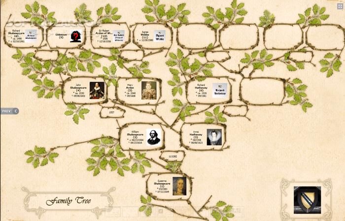 دانلود Family Tree Explorer Premium 10.0.0.2 - دانلود ساخت شجره نامه خانوادگی - سافت گذر