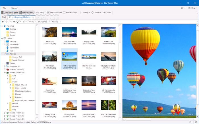 دانلود File Viewer Plus 6.0.0.0 - دانلود نمایش و ویرایش انواع فایل ها - سافت گذر