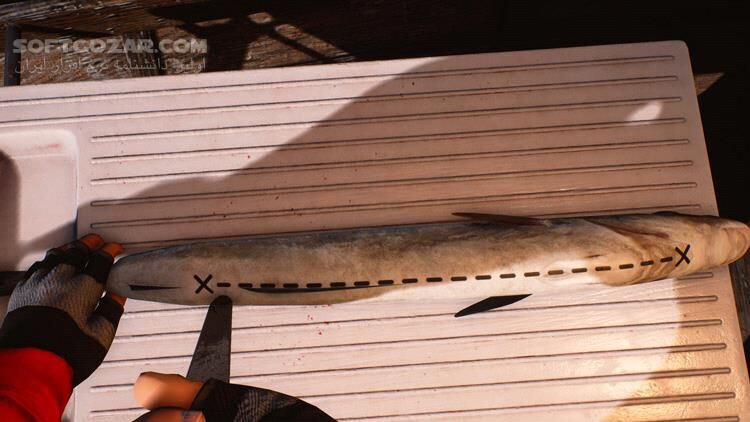 دانلود Fishing: Barents Sea - Line and Net Ships + Update v1.1.7.2 - دانلود بازی شبیه ساز ماهیگیری - سافت گذر