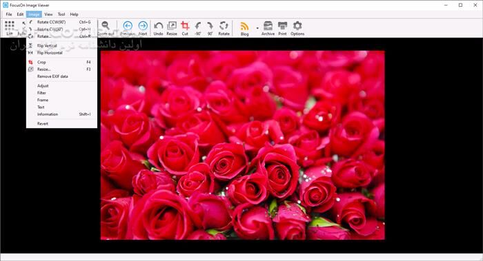 دانلود FocusOn Image Viewer 1.32 (64-bit) - دانلود مشاهده عکس - سافت گذر