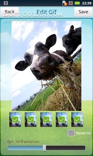 دانلود GIF Camera 2.0.1 for Android +2.3 - دانلود ساخت تصاویر متحرکت (GIF) برای اندروید - سافت گذر