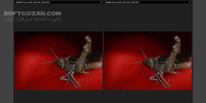 دانلود IDimager Photo Supreme 2025.3.3.8136 - دانلود مدیریت عکس ها - سافت گذر