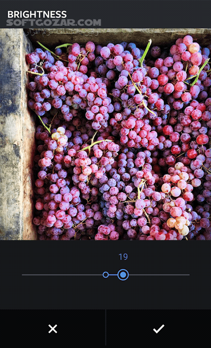 دانلود Instagram 255.0.0.0.39 / Lite 321.0.0.14.113 for Android +5.0 - دانلود اینستاگرام برای اندروید - سافت گذر