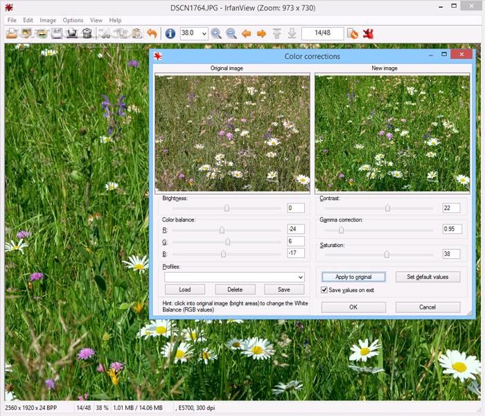 دانلود IrfanView 4.73 Commercial - دانلود ویرایشگر عکس ساده - سافت گذر