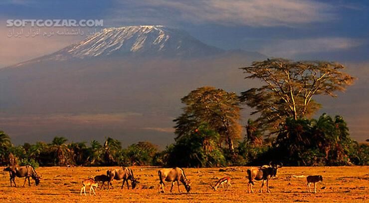 دانلود Kilimanjaro To the Roof of Africa - دانلود مستند کلیمانجارو - سافت گذر
