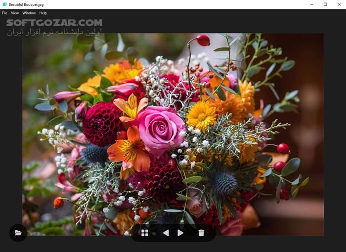 دانلود LeafView 3.8.4 - دانلود مشاهده عکس - سافت گذر