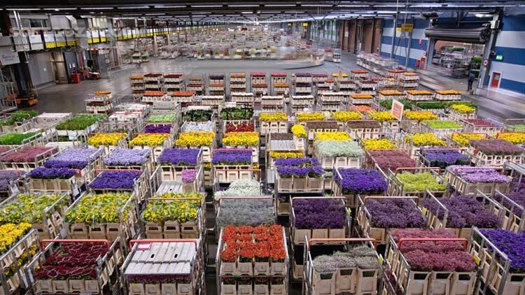 دانلود Living in the Age of Airplanes - دانلود مستند هواپیما - سافت گذر