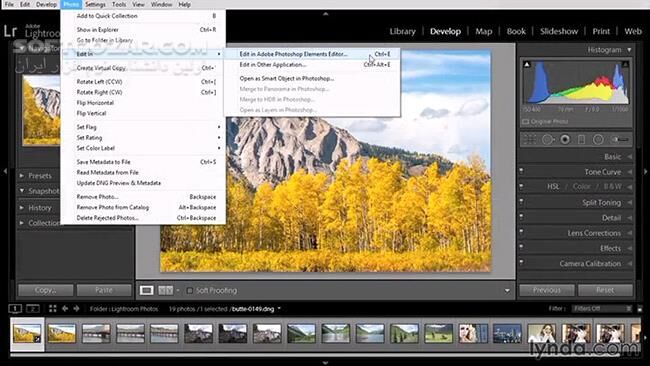 دانلود Lynda - Using Lightroom and Photoshop Elements Together - دانلود فیلم آموزش استفاده‌ی همزمان از نرم‌افزارهای لایت‌روم و فتوشاپ اِلِمِنتس  - سافت گذر