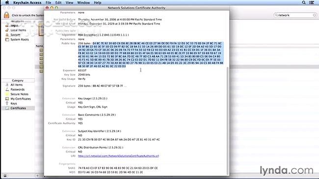 دانلود Lynda - Understanding Secure Sockets Layer - دانلود فیلم آموزش آشنایی با لایه‌ی سوکت‌های امن - اس‌اس‌ال - سافت گذر