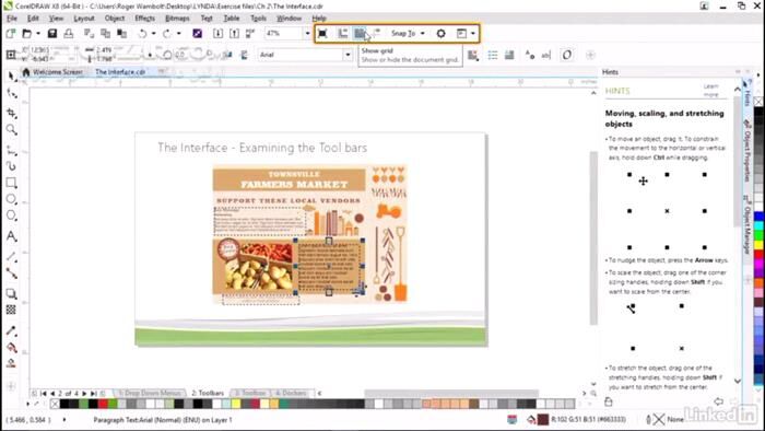 دانلود Lynda - CorelDRAW X8 Essential Training - دانلود فیلم آموزش کورل‌ دراو - سافت گذر