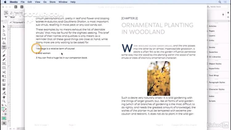 دانلود Lynda - InDesign CC 2018: EPUB - دانلود آموزش ساخت کتاب الکترونیکی با ایندیزاین - سافت گذر
