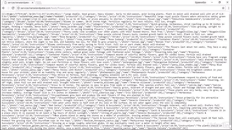 دانلود Lynda - Java Essential Training Objects and APIs - دانلود دوره آموزش جاوا - سافت گذر