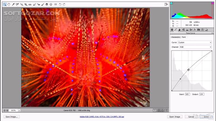 دانلود Lynda - Photoshop CC 2018 One-on-One: Advanced - دانلود آموزش فتوشاپ - سافت گذر