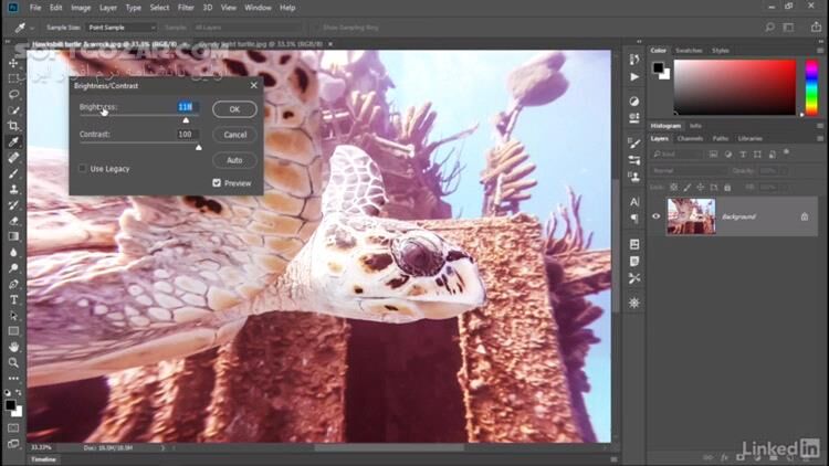 دانلود Lynda - Photoshop CC 2018 One-on-One: Fundamentals - دانلود آموزش فتوشاپ - سافت گذر