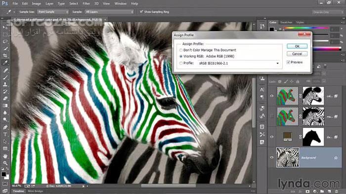 دانلود Lynda – Photoshop CC One-on-One – Fundamentals / Intermediate / Advanced / Mastery - دانلود مجموعه‌ 4 دوره‌ آموزش شرکت لیندا به صورت فیلم در مورد فتوشاپ نسخه‌ سی‌سی در چهار سطح مبتدی، متوسط، پیشرفته و حرفه‌ای - سافت گذر