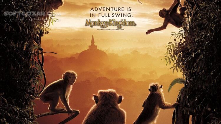 دانلود Monkey Kingdom - دانلود مستند قلمرو میمون ها - سافت گذر