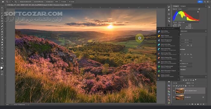 دانلود Nik Collection by DxO 8.1.101 - دانلود مجموعه پلاگین عکاسی - سافت گذر