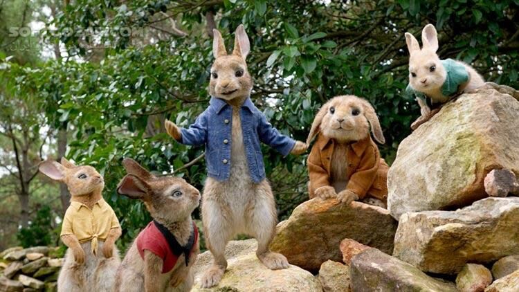 دانلود Peter Rabbit - دانلود پیتر خرگوشه - سافت گذر