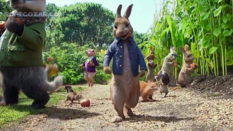 دانلود Peter Rabbit - دانلود پیتر خرگوشه - سافت گذر