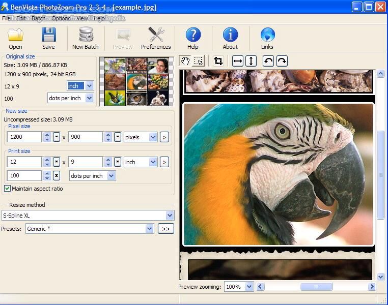 دانلود PhotoZoom Pro 8.1.0 + Classic / 7.0.8 / macOS - دانلود بزرگ کردن تصاویر فوتو زوم - سافت گذر