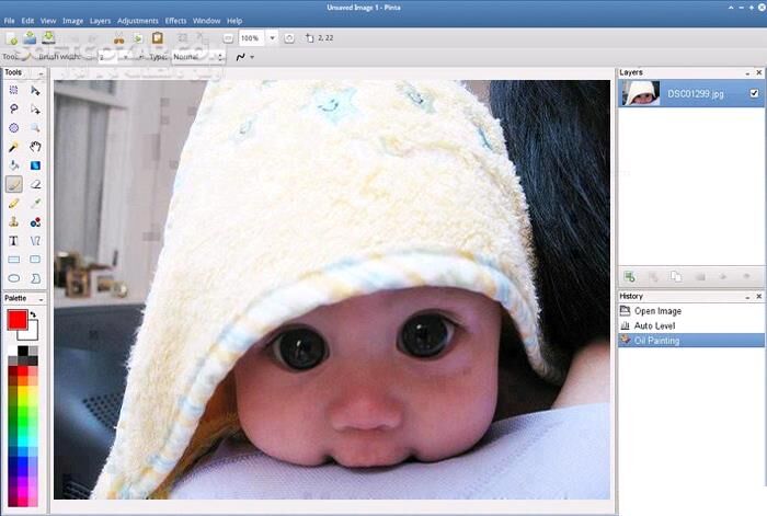 دانلود Pinta 3.0.5 - دانلود ویرایش عکس - سافت گذر